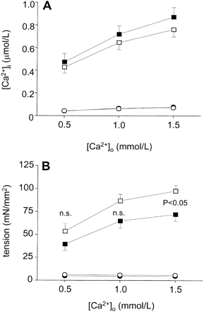 Effect of oxypurinol on Ca2+ cycling and tension in nonfailing control rat myocardium; group data. (A) Peak systolic (squares) and resting (circles) [Ca2+]i during twitches. (B) Peak systolic (squares) and diastolic (circles) tension during twitches. (A,B) Filled symbols, drug-free myocardium (n=8); open symbols, oxypurinol-treated myocardium (n=8). Oxypurinol has no effect on Ca2+ cycling but significantly increases force development. Invisible error bars indicate that error is smaller than symbol; n.s., not significant.