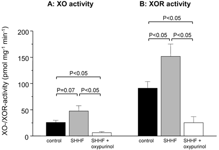 Xanthine oxidase/xanthine oxidoreductase activities in tissue homogenates. (A) XO activities. (B) XOR activities. Black bar: drug-free control myocardium (n=5); grey bar: drug-free SHHF rat myocardium (n=8); empty bar: oxypurinol-treated SHHF rat myocardium (n=5). XOR activity is significantly higher in failing than in nonfailing myocardium. Oxypurinol treatment largely suppresses both XO and XOR activity in failing rat myocardium.