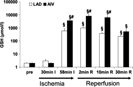 GSH-levels of coronary arterial (LAD) and coronary venous (AIV) blood samples drawn before LAD occlusion (pre), mid-ischemic (30 min I), after the onset of retroinfusion of GSH (58 min I), during retroinfusion and reperfusion (2 min R), and during reperfusion after cessation of retroinfusion (10 min R and 30 min R). As expected, GSH elevation was observed in coronary venous and, to a lesser extent, in coronary artery samples during GSH-retroinfusion. Twenty-five minutes after the end of retroinfusion, coronary venous levels were still >100-fold above pre-ischemic levels (§=p<0.05 vs. pre-ischemic levels, #=p<0.05 vs. time-matched arterial level (n=4).
