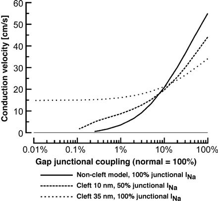 Dependence of conduction velocity on gap junctional coupling for 3 different models of cleft configuration and partitioning of sodium channels. Solid line: model with no cleft-effects but clustering of all sodium channels at intercalated disc. Dashed line: model with 10-nm wide cleft and even partitioning of the sodium channels between the intercalated disc and the surface sarcolemma. Punctate line: model with a 35-nm wide cleft and clustering of all sodium channels at intercalated disc. Redrawn with modifications from Ref. [52].