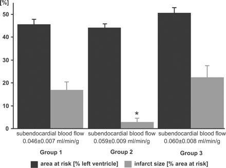 Area at risk, infarct size, and regional subendocardial blood flow. There were no significant differences between the three groups in subendocardial blood flow and area at risk. Infarct size was reduced by ischemic preconditioning in group 2. (Group 1: 90-min ischemia/2-h reperfusion; Group 2: 10-min ischemia/15-min reperfusion followed by 90-min ischemia/2-h reperfusion; Group 3: Coronary microembolization followed by 90-min ischemia/2-h reperfusion).