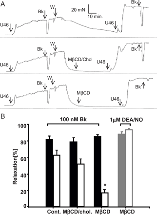 Alteration of membrane cholesterol content impairs EDHF-mediated relaxation. (A) Time courses of a representative set of experiments. Porcine aortic rings were contracted with U46619 (U46, 300 nM), in the presence of l-NNA (250 μM) and indomethacin (10 μM), and relaxation was initiated with bradykinin (Bk, 100 nM). Rings were repeatedly washed (W) with Krebs Henseleit and incubated for 1 h with either vehicle alone (top panel) vehicle plus 10 mM MβCD-saturated with cholesterol (middle panel), or 10 mM MβCD (lower panel). Thereafter, rings were repeatedly rinsed with buffer, and relaxations in response to bradykinin were again analyzed (post-incubation). (B) Bars represent bradykinin (Bk) or DEA/NO-induced EDHF vasorelaxations measured before (pre-incubation; filled columns) and after the incubation period (post-incubation; open columns), respectively. Gray bars represent DEA/NO-mediated relaxation in controls (pre-incubation; filled columns) and in cholesterol-depleted coronary arteries (post-incubation; open columns). Experimental conditions are indicated. Mean values±S.E. (N=18). * denotes statistically significant difference versus controls (post-incubation; Cont. as well as MβCD/chol).