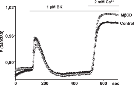 Cholesterol depletion does not impair Bradykinin-induced Ca2+ entry. Time courses of Ca2+-sensitive fura-2 fluorescence ratios (F340/380) recorded in PAEC incubated in FCS-free medium in the absence (control, filled symbols), or presence (open symbols) of 10 mM MβCD for 1 h. Cells were challenged with bradykinin (Bk, 1 μM) in Ca2+-free solution, and extracellular Ca2+ was elevated to 2 mM, as indicated. Mean values±S.E. derived from 23 and 30 cells are shown, respectively.