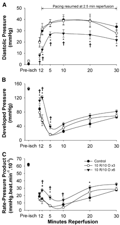 Effect of post-con on post-ischemic recovery of contractile function in buffer-perfused mouse hearts. A) Recovery of end-diastolic pressure, B) LV developed pressure and C) rate-pressure product. All values are means ± S.E.M. *P<0.05 vs. control hearts; †P<0.05 vs. 3 cycle algorithm.
