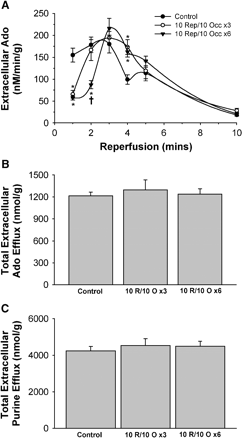 Effect of post-con on extracellular purine effluxes during reperfusion. A) Time course of adenosine washout during early reperfusion. B) Total extracellular adenosine efflux during reperfusion. C) Total extracellular purine efflux during reperfusion. All values are means ± S.E.M. *P<0.05 vs. control hearts. †P<0.05 vs. 3 cycle algorithm.