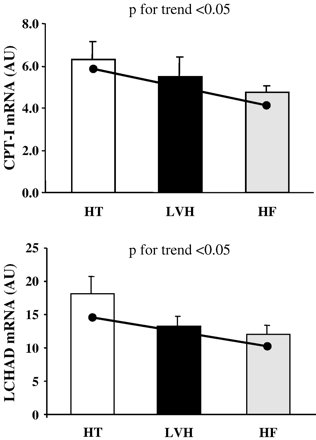 Upper panel: Histograms showing the mRNA expression of the PPARα target gene CPT-I in the myocardium of HT, LVH and HF groups. Lower panel: Histograms showing the mRNA expression of the PPARα target gene LCHAD in the myocardium of HT, LVH and HF groups. AU, arbitrary units.