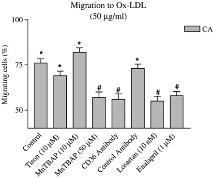 Effects of antioxidants (Tiron and MnTBAP), receptor blockade (Losartan, CD36 and its control antibody) and angiotensin-converting enzyme inhibitor (Enalapril) on oxidized-LDL-induced coronary artery smooth muscle cell migration. n≥30 cells from 3 independent experiments were used. *p<0.01 (Rayleigh test: chemotaxis detected); #p<0.01 (t-Test: % migrating cells vs. control).