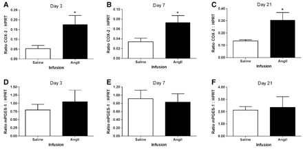 COX-2 and mPGES-1 mRNA expression in the abdominal aorta of COX-2+/+ mice. COX-2 mRNA expression of saline-(clear bars) and AngII-(filled bars) infused mice at (A) day 3, (B) day 7 and (C) day 21 post-infusion. mPGES-1 mRNA expression of saline-(clear bars) and AngII-(filled bars) infused mice at (D) day 3, (E) day 7 and (F) day 21 post-infusion. COX-2 or mPGES-1 mRNA expression was normalized to HPRT levels. Data represent mean±SEM. n≥6, *, P<0.05, Mann Whitney test.