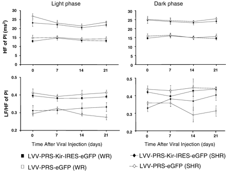 HR variability after hKir2.1 transduction of A2 neurons. There was no significant change in cardiac parasympathetic (HF of PI) and cardiac sympathetic tone (LF/HF of PI) in hKir2.1-transduced WR and SHR during the light phase (A and B) and dark phase (C and D). Similarly, eGFP-transduced controls in WR and SHR showed no significant change in HF of pulse interval and LF/HF of pulse interval during the entire observation period.