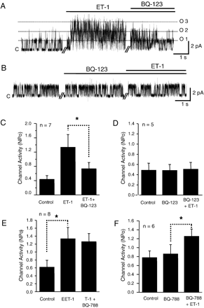 Blocking effects of ETA-selective antagonist (BQ-123) on ET-1-induced NSCMS facilitation. A, B. Representative current traces of cell-attached patches under a continuous negative pressure of −15 mm Hg at 50 mV. ET-1 (30 nM) and BQ-123 (1 μM) treatment times are indicated by bars above current traces. C, D. Summaries of the experiments shown in A and B. E, F. Unlike BQ-123, BQ-788 (1 μM, an ETB receptor antagonist) had no effect on NSCMS facilitation by ET-1. Numbers of tested cells are shown in each bar graph.