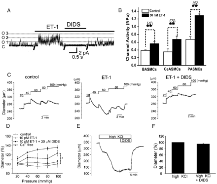 ET-1 induced facilitation of NSCMS and myogenic responses in rabbit cerebral artery. A. Representative current traces of cell-attached patches in middle cerebral arterial myocytes at a negative pressure of −15 mm Hg. Membrane voltage was clamped at 50 mV. The traces show that 30 nM ET-1 increased channel activity. Both basal and ET-1 induced activities were completely blocked by DIDS. B. The effects of 30 nM ET-1 on the NPo values of NSCMS in basilar, middle cerebral and pulmonary arterial myocytes. C. Representative traces of inner diameter from identical artery in control, pretreatment with 10 pM ET-1, combined treatment with ET-1 and 30 μM DIDS. The intravascular pressure was changed from 20 to 100 mm Hg as indicated. D. Summaries of the experiments shown in C including the full relaxed states in Ca2+-free condition (n=4). E. No effect of DIDS (30 μM) on the high K+ (60 mM)-induced constriction of cerebral artery. F. Summaries of the experiments shown in E (n=5). Diameters are expressed as a percent change of high K+-induced constriction.