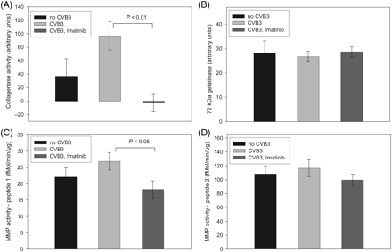 Imatinib treatment does not increase matrix metalloproteinase activity. Proteolytic activity was measured in cardiac tissue of uninfected, CVB3 infected, and CVB3 infected and Imatinib treated animals, as indicated. (A) Determination of collagenase activity with FITC-labelled collagen as substrate, (B) gelatinase activity assessed in zymograms, (C and D) proteolysis of fluorescently labelled peptides, which preferentially detect activities of MMPs 2, 3, 7, 8, 9, 10, 12, 13, 14, 17, 25, and 26 [peptide 1, (C)], or MMPs 3, 7, 9, and 12 [peptide 2 (D)] (n = 6, means±SEM).