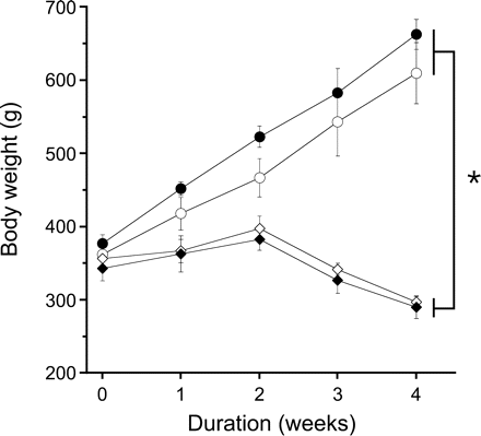 Effect of ascorbate deprivation on body weight. Open circles denote control; closed circles denote nitrate-tolerant; open diamonds denote ascorbate-deficient; closed diamonds denote ascorbate-deficient and nitrate-tolerant. Data are mean values±SEM of three guinea pigs per group. *P < 0.05 compared with corresponding standard diet-fed animals. Nitrate tolerance had no significant effect on body weight.