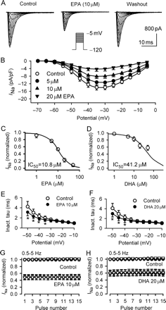 Inhibition of INa by eicosapentaenoic acid and docosahexaenoic acid. (A) Voltage-dependent INa traces recorded in a representative myocyte with 30 ms steps to between −70 and −5 from −120 mV at 0.1 Hz during control, in the presence of 10 µM eicosapentaenoic acid, and washout for 10 min with 0.1% bovine serum albumin. (B)I–V relationships of INa during control, in the presence of 5, 10 and 20 µM eicosapentaenoic acid. Eicosapentaenoic acid significantly suppressed INa at potentials of −50 to −10 mV (n = 8, P < 0.05 or P < 0.01 vs. control). (C) Concentration–response relationship of INa inhibition by eicosapentaenoic acid at −30 mV (n = 6–14 experiments). (D) Concentration–response relationship of INa inhibition by docosahexaenoic acid at −30 mV (n = 6–15 experiments). Symbols are the mean values of inhibiting effect in cells exposed to different concentrations of eicosapentaenoic acid or docosahexaenoic acid. Solid lines are the best-fit Hill equation. (E) Voltage dependence of time constant of INa inactivation before and after 10 µM eicosapentaenoic acid (10 min, n = 8, *P < 0.05 vs. control). (F) Voltage dependence of time constant of INa inactivation before and after 20 µM docosahexaenoic acid (15 min, n = 7, *P < 0.05 vs. control). (G) Use dependence of INa before and after 10 µM eicosapentaenoic acid (10 min) at 0.5, 1, 2, and 5 Hz (data values overlapped). INa was normalized by the current elicited by the first pulse at each frequency. (H) Use dependence of INa before and after 20 µM docosahexaenoic acid (15 min) at 0.5, 1, 2, and 5 Hz.