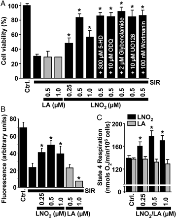 LNO2 protects cardiomyocytes from SIR injury and stimulates myocyte respiration. (A) Post-SIR cell viability. Cardiomyocytes were subjected to SIR injury in the presence of indicated concentrations of LNO2 or LA, added 20 min before ischaemia. Where indicated, the mKATP antagonists 5-HD or glybenclamide, the sGC inhibitor ODQ, the ERK inhibitor UO126, or the PI3K inhibitor wortmannin was present from the beginning of incubations. (B) Effects of LNO2 on post-SIR intracellular mitochondrial membrane potential, measured using TMRE fluoresence. Treatment groups were as in Figure 2A. (C) Effects of LNO2 or LA on cellular state 4 respiration rate (clamped with oligomycin). All data are means ± SEM, n > 5. *P < 0.05 vs. SIR alone in (A) and (B), or *P < 0.05 vs. control in (C).