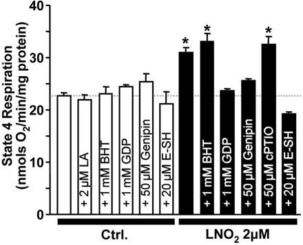 The effect of various reagents on LNO2-induced uncoupling. Oligomycin-clamped state 4 mitochondrial respiration was used as a surrogate for uncoupling (see Methods). Indicated concentrations of reagents were added prior to LNO2, except E-SH, which was added after LNO2 to reverse the latter's effects. Open bars represent effects of reagents in the absence or presence of native (non-nitrated) LA. Filled bars are in the presence of indicated concentrations of LNO2. GDP is a UCP inhibitor, genipin a UCP-2 inhibitor, E-SH a thiol reducing agent, c-PTIO a NO• scavenger, and BHT a lipophilic antioxidant. Data are means ± SEM, n > 6. *P < 0.05 vs. control.