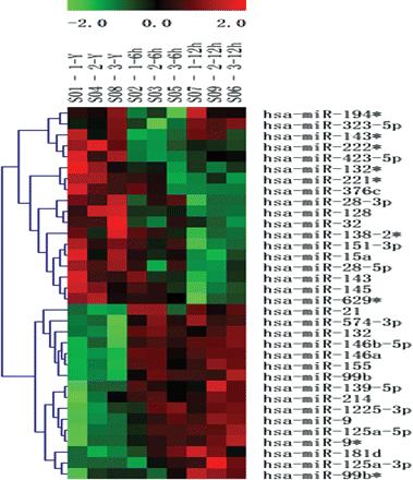 Dysregulation of miRNA expression in monocytes after oxLDL stimulation. Differentially expressed miRNAs (P < 0.05) were analysed by hierarchical clustering of the log 2 value of each miRNA microarray signal at 0, 6, and 12 h. Red: up-regulation; green: down-regulation; black: no change. The legend on the right displays the microRNA represented in the corresponding row. The bar code on the top represents the colour scale of the log 2 values. Each column represents the data from a given time course and includes three repetitions at the top of the heatmap.