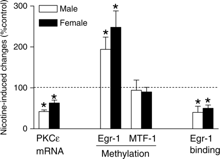 Effect of in utero nicotine exposure on Egr-1 methylation and PKCε expression in adult offspring. Pregnant rats were treated with saline (control) or nicotine, and hearts were isolated from 3 months old male and female offspring. PKCε mRNA abundance, methylation of the Egr-1 and MTF-1 (−168) binding sites, and Egr-1 binding to the PKCε promoter in the context of intact chromatin were determined by real-time RT–PCR, quantitative methylation-specific PCR and ChIP assay, respectively. Data are mean ± SEM. *P < 0.05 vs. control (n = 5).