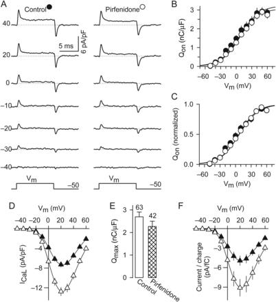 Increases in the current-to-charge ratio. (A) Examples of immobilization-resistant charge movements that were recorded from control and pirfenidone-treated cells. (B and C) Absolute (B) and normalized (C) values of charge movements that were recorded at the onset of depolarization (QON), as illustrated in (A). The parameters obtained by fitting the experimental data shown in (B) by Eq. (4) are given in Table 1 (Q–V data). (D–F) I–V curves (D), Qmax (E), and current-to-charge ratios (F) that were simultaneously recorded from a total of 63 control and 42 pirfenidone-treated cells. Qmax (E) was estimated from current traces with zero ionic current and at the apparent reversal potential, as described in McDonough et al.38 The resulting average values of Gmax/Qmax, as well as the other Boltzmann parameters describing the I–V curves are given in Table 1 (G–V data).