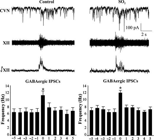 The bursting activity of fictive inspiration was recorded from the hypoglossal rootlet (XII), electronically integrated (∫XII), and recorded simultaneously with GABAergc IPSCs in CVNs (top traces). While there was a significant increase in IPSC frequency during the inspiratory period, there were no differences between control and SO2-exposed pups in either the spontaneous (control, 6.4 ± 0.9 Hz; SO2, 6.9 ± 0.8 Hz) nor inspiratory phases (control, 11.1 ± 1.3 Hz; SO2, 11.9 ± 0.7 Hz), as shown in the histogram (control, n = 6 animals; SO2, n = 5 animals; *P < 0.05).