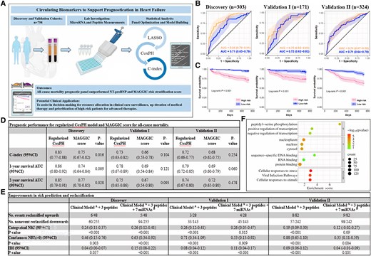 Multi-variable prognostic model for all-cause mortality. (A) Circulating biomarkers to support prognostication in heart failure. The illustrations included in the diagram are adapted from Servier Medical Art (https://smart.servier.com) and BioRender (https://biorender.com). (B) ROC curves compare the predictive ability of all-cause mortality prognostic panel (in orange) vs. NT-proBNP (in blue) across all three cohorts. (C) KM curves show event-free survival in HF patients’ risk-stratified above and below the median score derived from our model in all three cohorts. (D) Comparison of the performance of prognostic models with the MAGGIC score. DeLong’s test is used to compare two ROC curves. (E) Improvements in risk prediction and reclassification based on categorical and continuous NRI and IDI analyses. Patients were categorized into three groups using <5% (low risk), 5–15% (intermediate risk) and >15% (high risk) to reflect the tertile boundaries of the predicted risk scores at 2-year in the discovery, validation I and validation II cohorts. The P-value is calculated using likelihood ratio test. (F) The Reactome and GO analysis on target-pathway prediction. LASSO, least absolute shrinkage and selection operator; CoxPH, Cox proportional-hazards; C-index, Harrell’s concordance index; AUC, area under the receiver operating characteristic (ROC) curves; KM, Kaplan–Meier plots; NT-proBNP, N-terminal pro B-type natriuretic peptide; CI, confidence interval; NRI, net reclassification improvement; IDI, integrated discrimination improvement; Clinical ModelA, age, BMI, hypertension, NYHA class (III/IV) and history of MI; 3 peptides, NT-proBNP, hs-TnT, and GDF15; 7 miRNAsB, hsa-miR-150-5p, hsa-miR-181a-2-3p, hsa-miR-186-5p, hsa-miR-200c-3p, hsa-miR-337-3p, hsa-miR-421, and hsa-miR-503-5p.