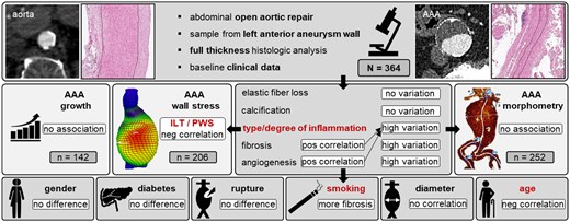 Graphical Abstract