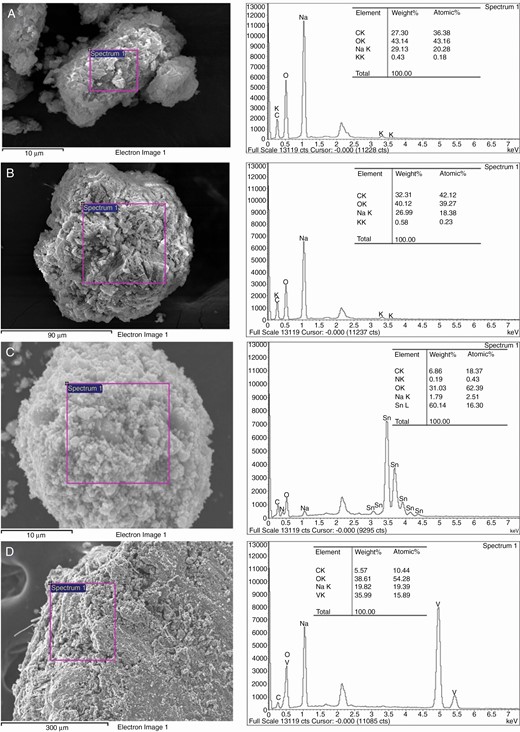 Elemental compositions of (a) uncalcined CQDs, (b) calcined CQDs, (c) CQDs@SnO2 and (d) CQDs@NaVO3