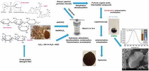The synthesis mechanism of CQDs from dead leaves and their properties of fluorescence and morphological structure