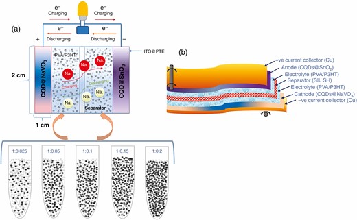Schematic diagram of (a) a battery using different weight ratios of PVA/P3HT gel-polymer electrolytes and (b) the design of a flexible Na-ion battery.