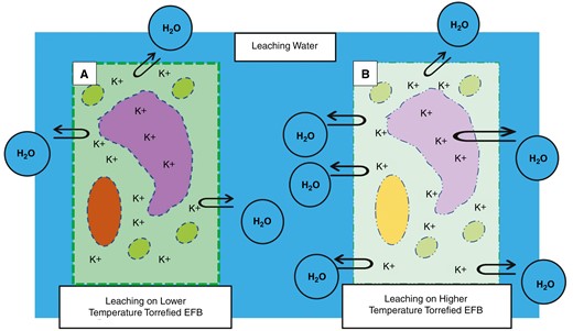 An illustration of a plant cell with physical changes due to the decomposition of lignocellulose at (a) low and (b) high torrefaction temperatures of EFBs