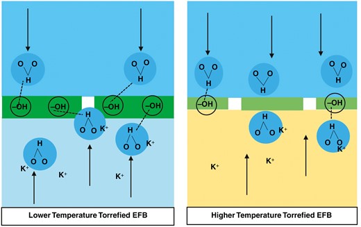 Illustration of the alleged effect of hydrophobicity on leaching performance