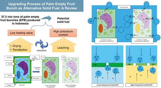 Graphical Abstract
