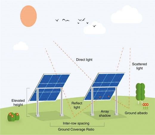 Illustration of bifacial PV system operation (https://www.iberdrola.com/innovation/bifacial-solar-panels).