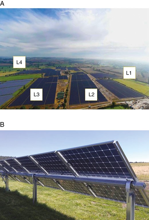 The examined 34.7-MW PV power plant. (a) Aerial image of the entire system; (b) closer look at the bifacial panels installed.