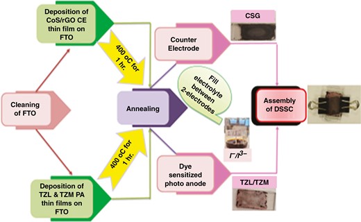 Graphical Abstract