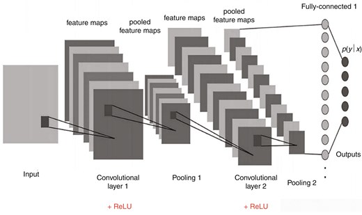 Diagram of the structure of a Convolutional Neural Network (CNN), showing the layers including convolutional layers, pooling layers, fully connected layers, and the output layer