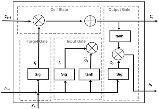 Diagram illustrating the structure of an LSTM cell, showing the input, forget, and output gates, along with the cell state and hidden state, and the flow of information through these components