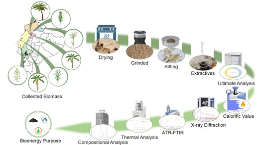 Graphical Abstract
