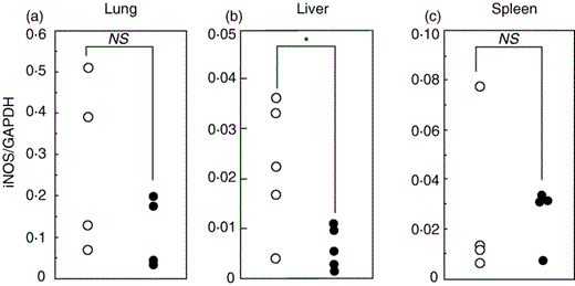 Effect of diabetic condition on the expression of iNOS mRNA after M. tuberculosis infection. Diabetic and control mice were infected with M. tuberculosis. Total RNA was extracted from (a) lung, (b) liver and (c) spleen on day 7 postinfection, and real-time PCR was conducted to measure the expression of iNOS and GAPDH mRNA. The results are expressed as the relative values to GAPDH. Each symbol represents the result of each mouse. ○ control; • diabetic mice. NS, not significant; *P < 0·05, compared with control mice.
