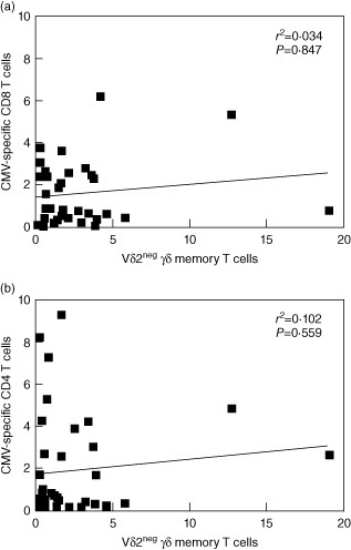 Comparison between Vδ2neg γδ T-cell and cytomegalovirus (CMV)-specific αβ T cell frequencies in healthy donors. Charts show the correlation between Vδ2neg γδ T cells and CMV-specific CD8+ T cells (a) and CMV-specific CD4+ T cells (b) in CMV-seropositive donors. Values on each axis denote the percentage of each cell type as a percentage of the total T cell repertoire. Significance (P) values at 95% confidence intervals are shown for each set of data. Correlations were determined using the non-parametric Spearman's rank test.
