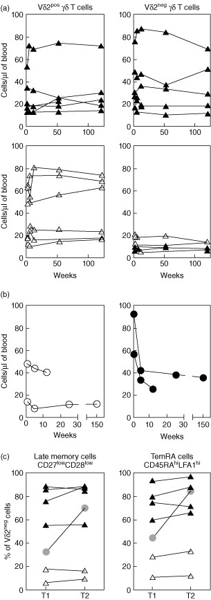 Dynamics of Vδ2neg γδ T cells in healthy donors over time. Vδ2pos and Vδ2neg γδ T cell numbers were measured in a longitudinal analysis of six cytomegalovirus (CMV)-seropositive (top charts) and six CMV-seronegative healthy donors (bottom charts) (a; both groups composed of three young and three middle-aged subjects), and also in two immunocompetent subjects diagnosed with primary CMV infection (b; aged 38 and 43 years). Phenotypic changes in late memory and T-effector memory CD45RA-positive (TemRA) cells were also determined after a 12-month interval in six healthy donors (CMV-pos; black triangles, CMV-neg; white triangles) and one of the primary CMV patients (grey circle) (c). T1 represents 1 week post-diagnosis and T2 denotes 2 years post-diagnosis for the primary CMV samples. Values shown indicate the percentage of Vδ2neg γδ T-cells expressing the given phenotype.