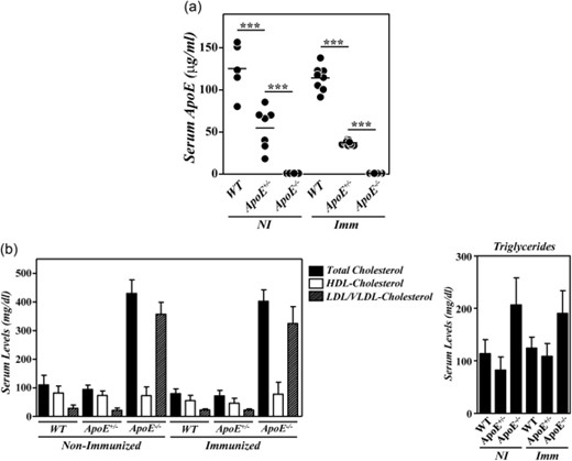Serum lipid profiles and apolipoprotein E (ApoE) levels in ApoE mutant mice during collagen type II-induced arthritis (CIA) development. (a) Serum levels of ApoE in B10.RIII.wild-type (WT), B10.RIII.ApoE+/– and B10.RIII.ApoE–/– mice before (NI) and 8 weeks after (Imm) induction of CIA determined by enzyme-linked immunosorbent assay (ELISA). (b) Serum levels of total cholesterol, high-density lipoprotein cholesterol (HDLc), very low-density lipoprotein/low-density lipoprotein cholesterol (VLDL/LDLc) and triglycerides in B10.RIII.wild-type (WT), B10.RIII.ApoE+/– and B10.RIII.ApoE–/– mice before (NI) and 8 weeks after (Imm) induction of CIA. Representative results of three independent experiments are expressed as the mean ± standard deviation (eight to 10 animals/group). Statistical differences are indicated as follows: ***P < 0·005.