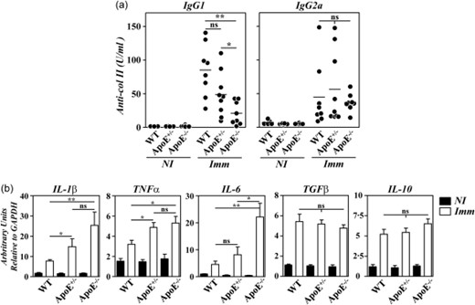 Anti-collagen type II (col II) humoral responses and cytokine gene expression in apolipoprotein E (ApoE) mutant mice. (a) Serum levels of immunoglobulin (Ig)G1 and IgG2a anti-col II antibodies in individual mice before (NI) and 4 weeks after (Imm) immunization with col II. Bars represent the mean values. Results are representative of two independent experiments. (b) Analysis by reverse transcription–quantitative polymerase chain reaction (RT–qPCR) of interleukin (IL)-1β, tumour necrosis factor (TNF)-α and IL-6 gene expression in the paws of B10.RIII.wild-type (WT), B10.RIII.ApoE+/– and B10.RIII.ApoE–/– mice before (NI; closed bars) and 8 weeks after (Imm; open bars) immunization with col II. Representative results from one of three independent experiments (six to eight animals/group) are expressed as the mean ± standard deviation fold change of each cytokine relative to glyceraldehyde 3-phosphate dehydrogenase (GAPDH) expression measured in parallel in each sample. Statistical differences are indicated as follows: n.s. = non-significant; *P < 0·05; **P < 0·01.