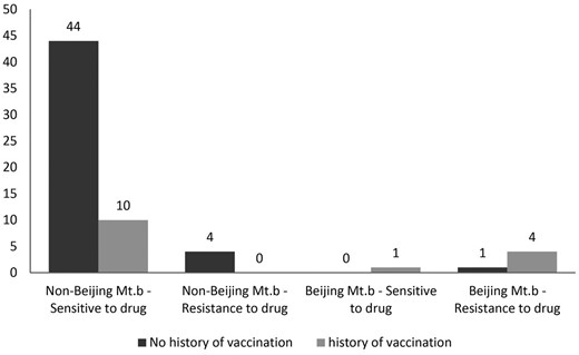 Distribution of patients by TB-Beijing strains or non-Beijing and drug resistance status according to vaccination history.