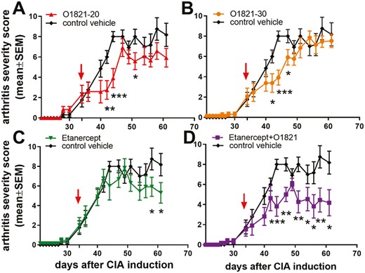 arthritis severity scores over time in mice with CIA. (A) O1821 at 20 mg/kg/day (n = 12) or (B) 30 mg/kg/day (n = 13) reduced arthritis severity scores. (C) Etanercept (n = 13) achieved a late onset protective effect. (D) Etanercept + O1821 (n = 11) induced an early and more sustained protective effect, compared with the monotherapy groups. (All treatments were started after the onset of arthritis on day 34, marked with an arrow; results shown as mean ± SEM; *P< 0.05, **P < 0.008, ***P < 0.0007, t-test; control group n = 13).