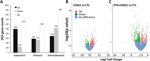 differentially expressed gene numbers and volcano plots. (A) Total (all) number of genes differentially expressed, and numbers of gene expressed in increased (up) or decreased levels in the treatment groups compared with control (CTL). (B) Volcano plots of the analyses of O1821 vs. control, and of (C) etanercept + O1821 vs. control (ETN = etanercept).