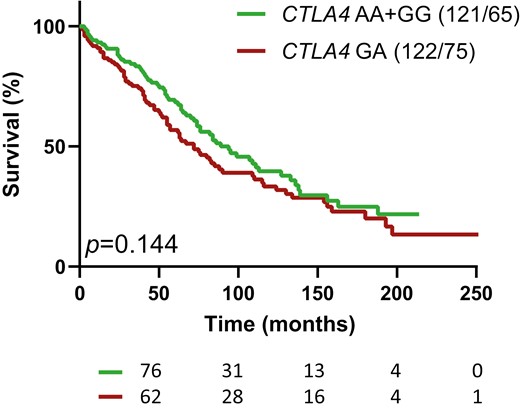Kaplan-Meier survival analysis of progression from multiple autoAb positivity to clinical onset, for relatives with or without the CTLA4 GA genotype. P value (P) is from log rank test on differences in survival. The numbers of individuals at risk are indicated below the time-axis. For each arm the genotype and number (cases/events) are shown above the graph.