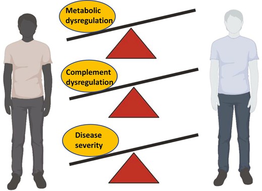 Graphical Abstract