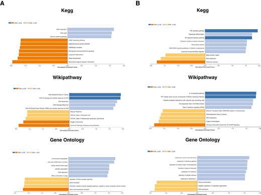 Gene set enrichment pathway analyses of MVEC transcripts from MVEC exposed to alloHSCT patient plasmas in the presence an absence of narsoplimab. A. MVEC cultures were exposed to pooled acute TA-TMA patient plasmas in the presence and absence of narsoplimab (10 µg/ml) and caspase 8 activity assessed as described in Fig. 1. All three databases highlighted effects related to genes involved in control of the cell cycle and DNA replication and repair. B. MVEC cultures were exposed to pooled plasmas from alloHSCT patients who did not develop a TA-TMA in the presence and absence of narsoplimab (10 µg/ml) and caspase 8 activity assessed. Prominent changes in cytokine generation and signaling related to TNF-α, IL-1, IL-18, and interferon type II (IFN-γ), as well as NFκB survival signaling were identified.