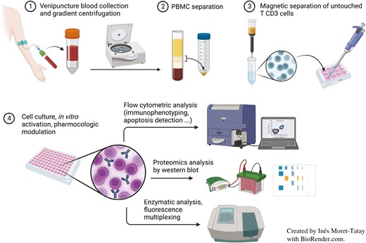 Graphical Abstract